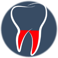 /Endodontie